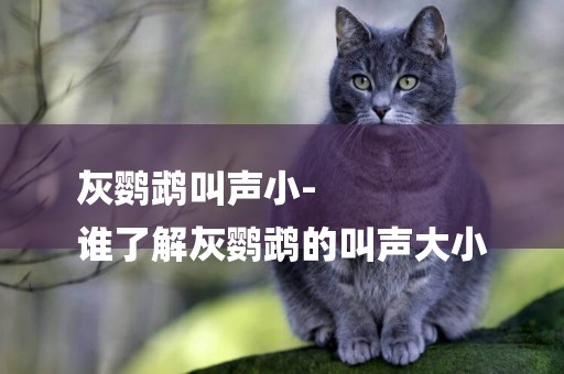 灰鸚鵡叫聲小-
誰了解灰鸚鵡的叫聲大小