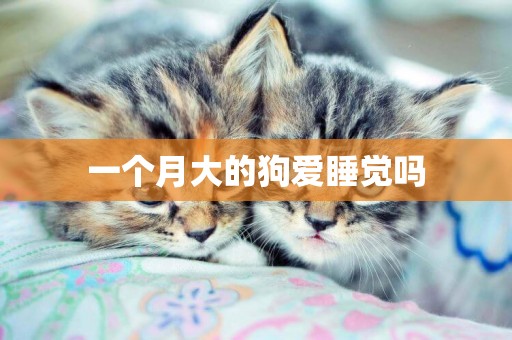 一個月大的狗愛睡覺嗎