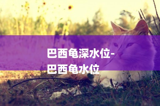 巴西龜深水位-
巴西龜水位