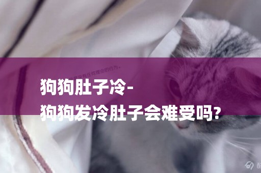 狗狗肚子冷-
狗狗發冷肚子會難受嗎?
