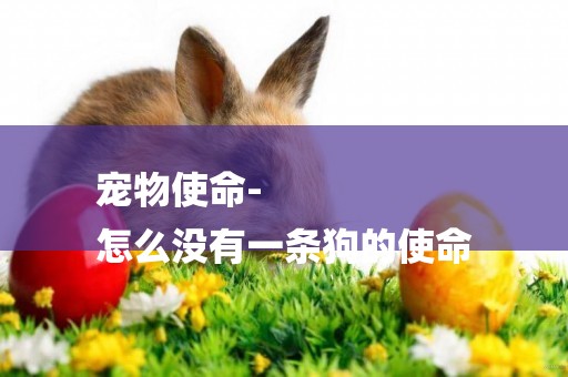 寵物使命-
怎么沒有一條狗的使命