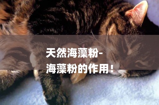 天然海藻粉-
海藻粉的作用！