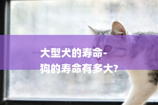 大型犬的壽命-
狗的壽命有多大?