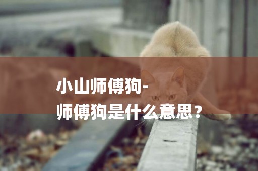小山師傅狗-
師傅狗是什么意思？