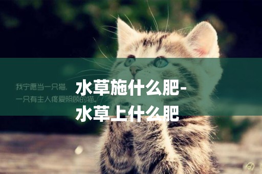 水草施什么肥-
水草上什么肥