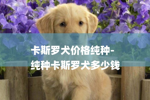 卡斯羅犬價格純種-
純種卡斯羅犬多少錢
