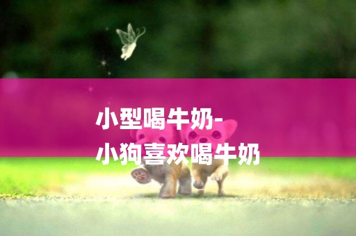 小型喝牛奶-
小狗喜歡喝牛奶