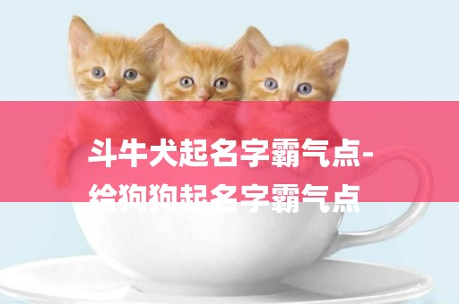 斗牛犬起名字霸氣點-
給狗狗起名字霸氣點