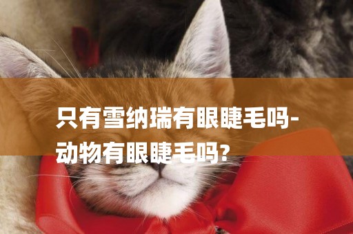 只有雪納瑞有眼睫毛嗎-
動物有眼睫毛嗎?