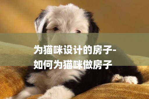 為貓咪設計的房子-
如何為貓咪做房子