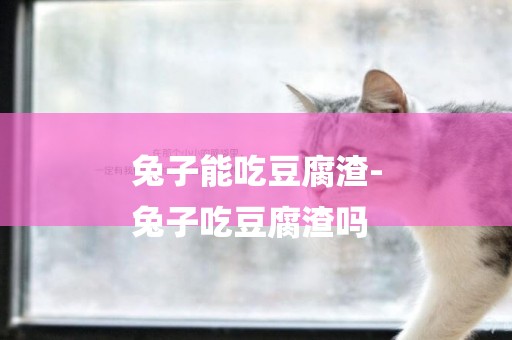 兔子能吃豆腐渣-
兔子吃豆腐渣嗎