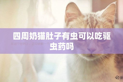 四周奶貓肚子有蟲可以吃驅蟲藥嗎