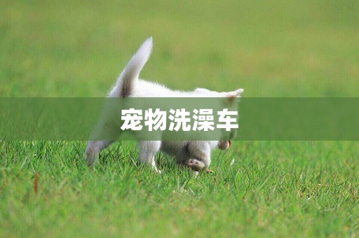 寵物洗澡車