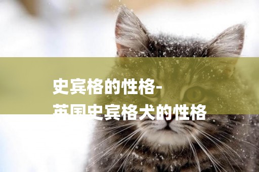 史賓格的性格-
英國史賓格犬的性格