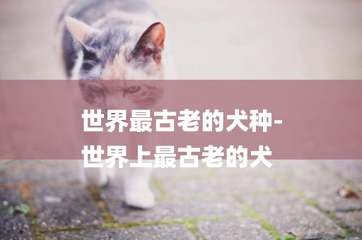 世界最古老的犬種-
世界上最古老的犬