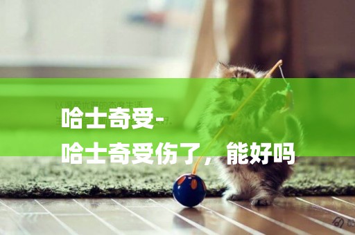 哈士奇受-
哈士奇受傷了，能好嗎