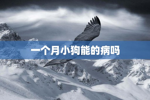 一個月小狗能的病嗎
