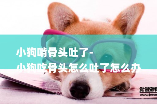 小狗啃骨頭吐了-
小狗吃骨頭怎么吐了怎么辦