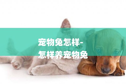 寵物兔怎樣-
怎樣養寵物兔