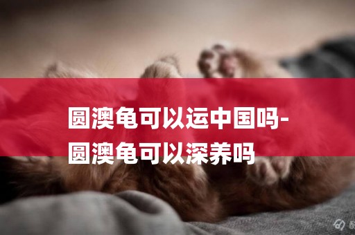 圓澳龜可以運中國嗎-
圓澳龜可以深養嗎