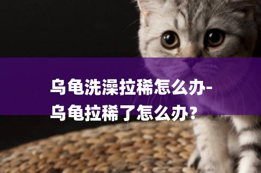 烏龜洗澡拉稀怎么辦-
烏龜拉稀了怎么辦？