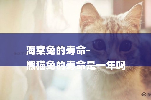 海棠兔的壽命-
熊貓兔的壽命是一年嗎