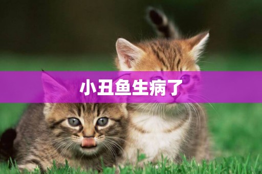 小丑魚生病了