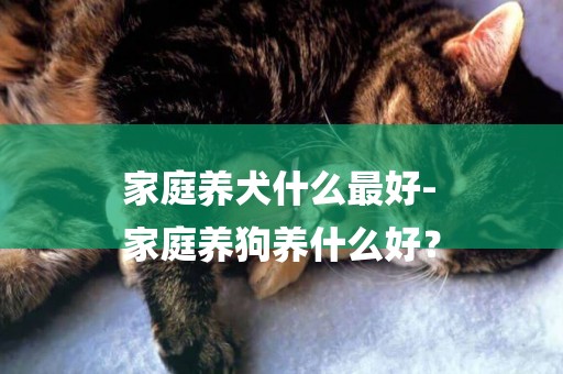 家庭養犬什么最好-
家庭養狗養什么好？