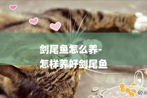 劍尾魚怎么養-
怎樣養好劍尾魚