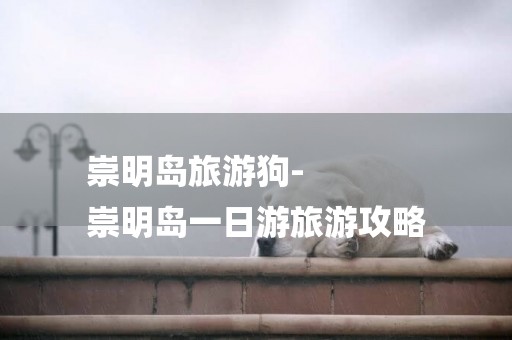 崇明島旅游狗-
崇明島一日游旅游攻略