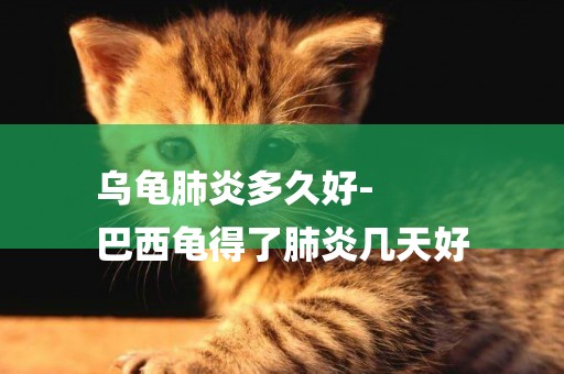 烏龜肺炎多久好-
巴西龜得了肺炎幾天好