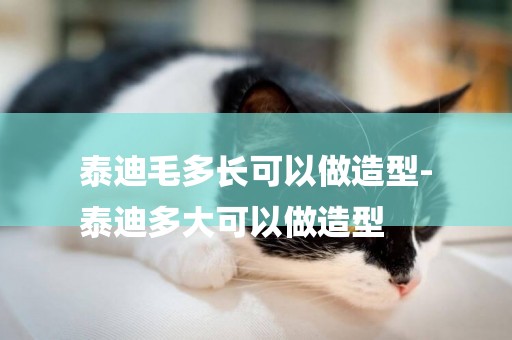 泰迪毛多長可以做造型-
泰迪多大可以做造型