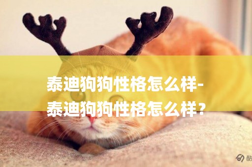 泰迪狗狗性格怎么樣-
泰迪狗狗性格怎么樣？