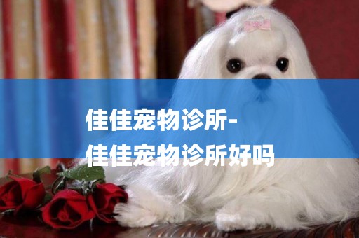 佳佳寵物診所-
佳佳寵物診所好嗎