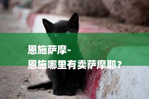 恩施薩摩-
恩施哪里有賣薩摩耶？