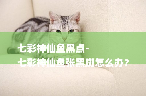 七彩神仙魚黑點-
七彩神仙魚張黑斑怎么辦？