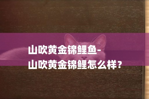 山吹黃金錦鯉魚-
山吹黃金錦鯉怎么樣？