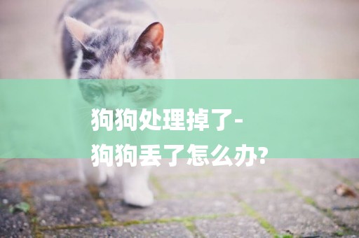 狗狗處理掉了-
狗狗丟了怎么辦?