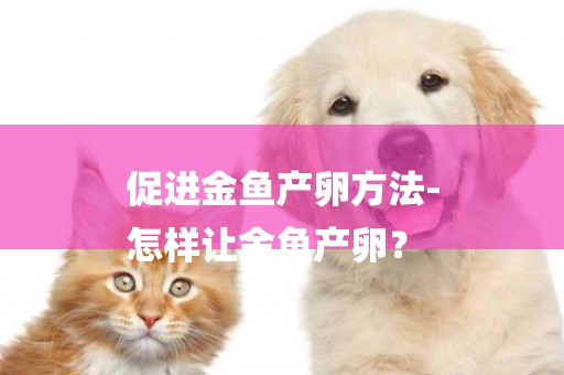 促進金魚產卵方法-
怎樣讓金魚產卵？