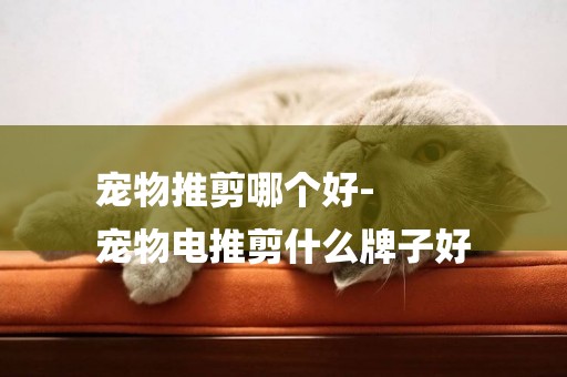 寵物推剪哪個好-
寵物電推剪什么牌子好