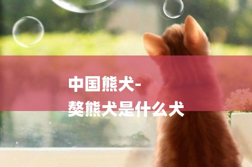 中國熊犬-
獒熊犬是什么犬