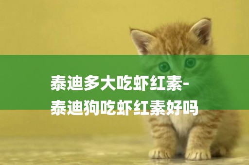 泰迪多大吃蝦紅素-
泰迪狗吃蝦紅素好嗎