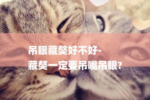 吊眼藏獒好不好-
藏獒一定要吊嘴吊眼?