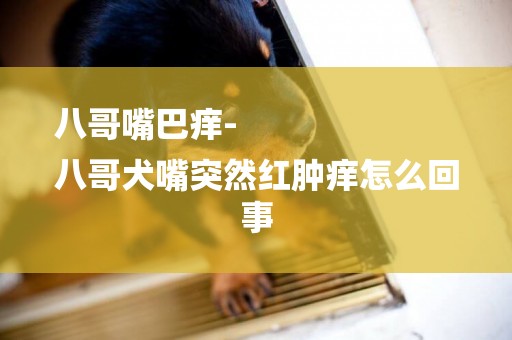 八哥嘴巴癢-
八哥犬嘴突然紅腫癢怎么回事