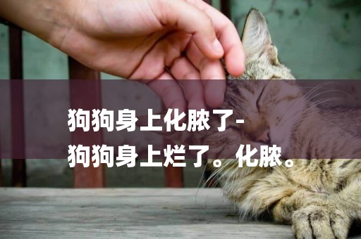 狗狗身上化膿了-
狗狗身上爛了。化膿。