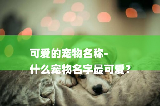 可愛的寵物名稱-
什么寵物名字最可愛？