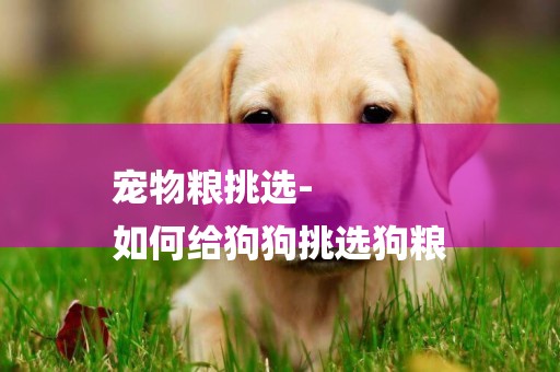 寵物糧挑選-
如何給狗狗挑選狗糧