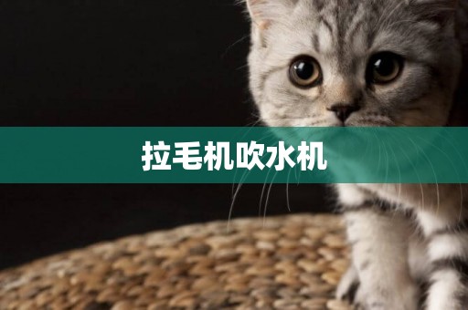 拉毛機吹水機