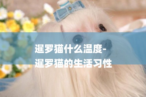 暹羅貓什么溫度-
暹羅貓的生活習性