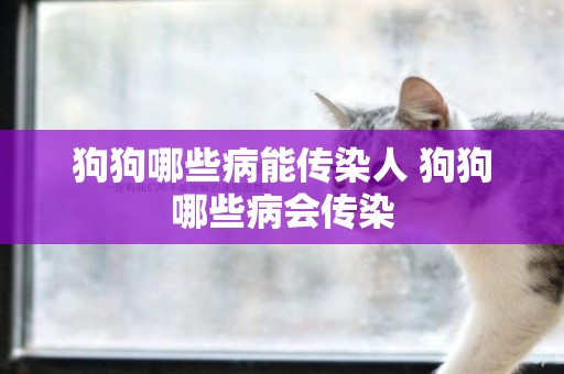 狗狗哪些病能傳染人 狗狗哪些病會傳染